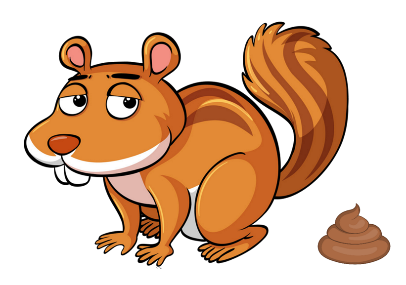 Picasture1 A Crafty Campaign